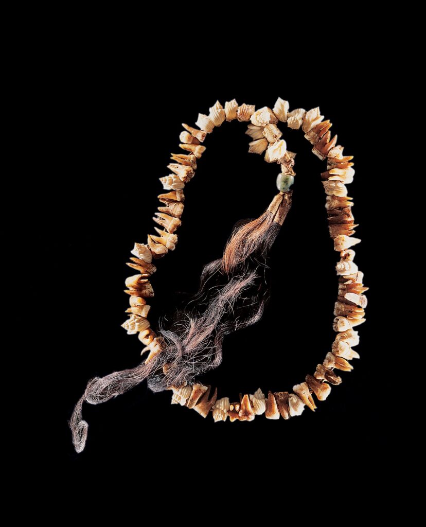 Collier. Kanak, Nouvelle-Calédonie. Coquillage, dents humaines, cheveux et jadéite. L. 75 cm. Anc. coll. Paul de Givenchy et Josef Müller, acquis de Charles Ratton en 1939. Inv. 4714. Musée Barbier-Mueller. Photo : Studio Ferrazzini Bouchet.