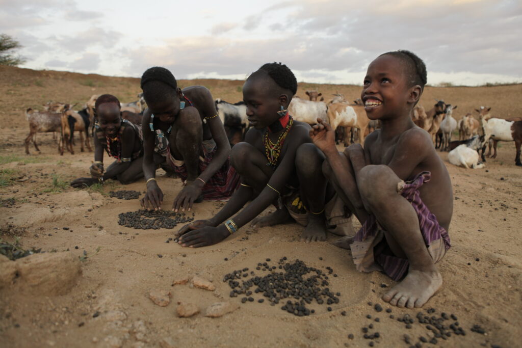 Dans l’enclos à bétail, les enfants jouent avec du crottin de chèvres symbolisant leurs animaux domestiques. Ils
ont construit des enclos avec du sable et de petites pierres (Photo : J. Dubosson 2011, village de Dambaiti)