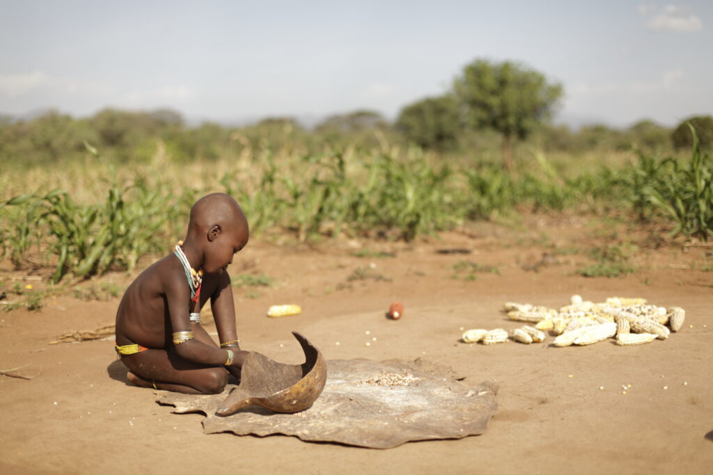 Bono ramasse sur la peau de vache les derniers grains de sorgho et de maïs récolter et trier durant la journée.
(Photo : J. Dubosson 2011, village de Dambaiti)
