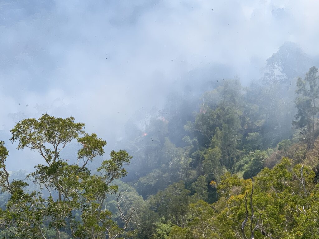 Vue depuis la transversale Koné-Tiwaka. © Claude Grin.
